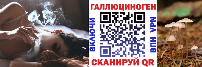 ссылка на мегу вход  Полесск  Псилоцибиновые грибы GOLDEN TEACHER  что такое  